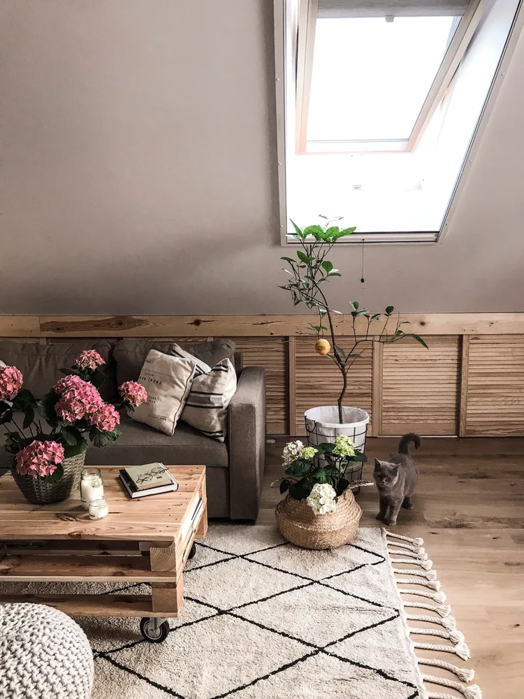 Rullenetting Ketra i takvindu