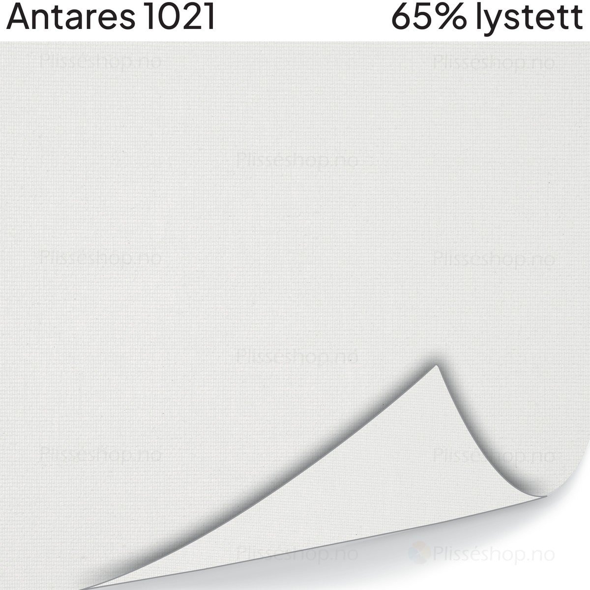 Antares 1021