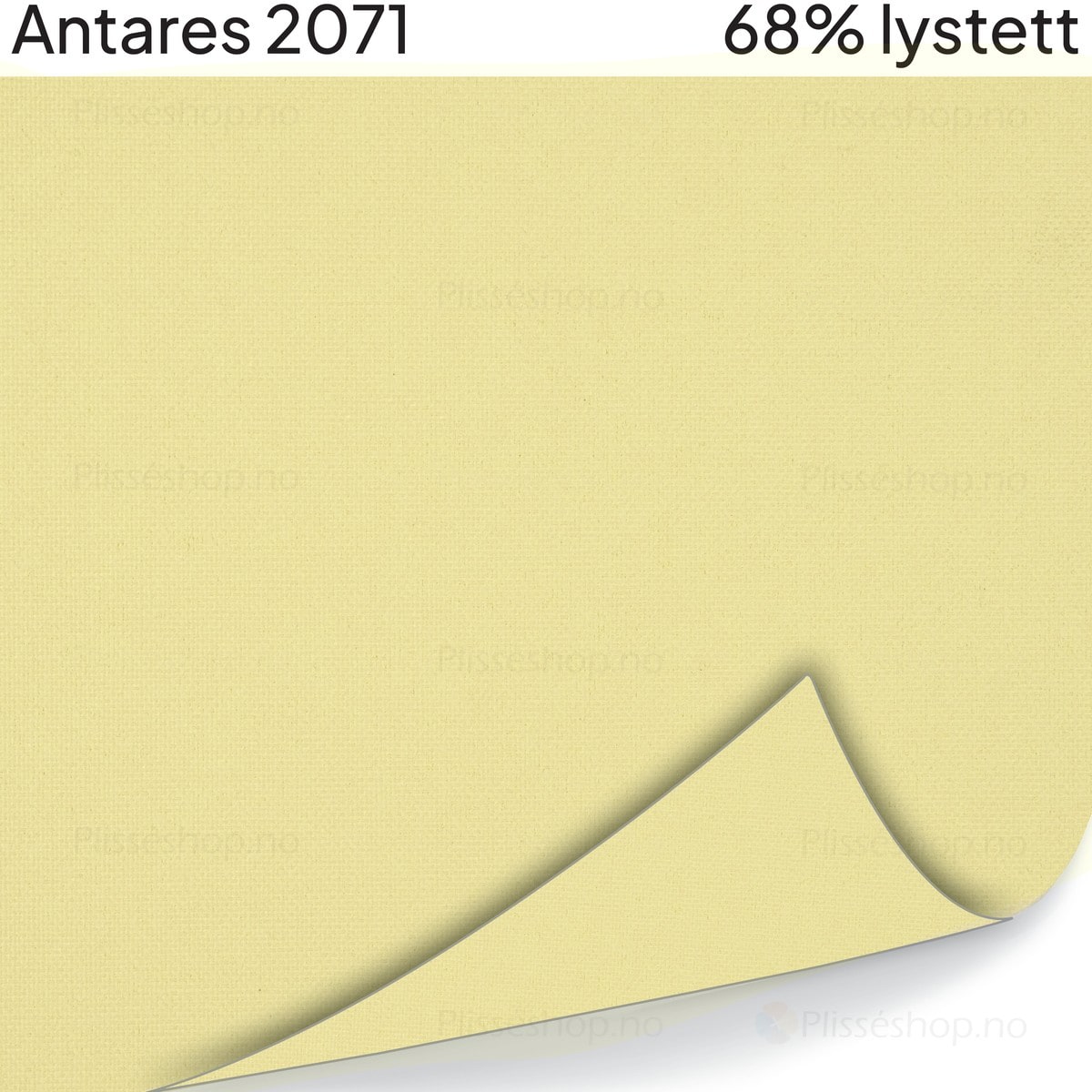 Antares 2071