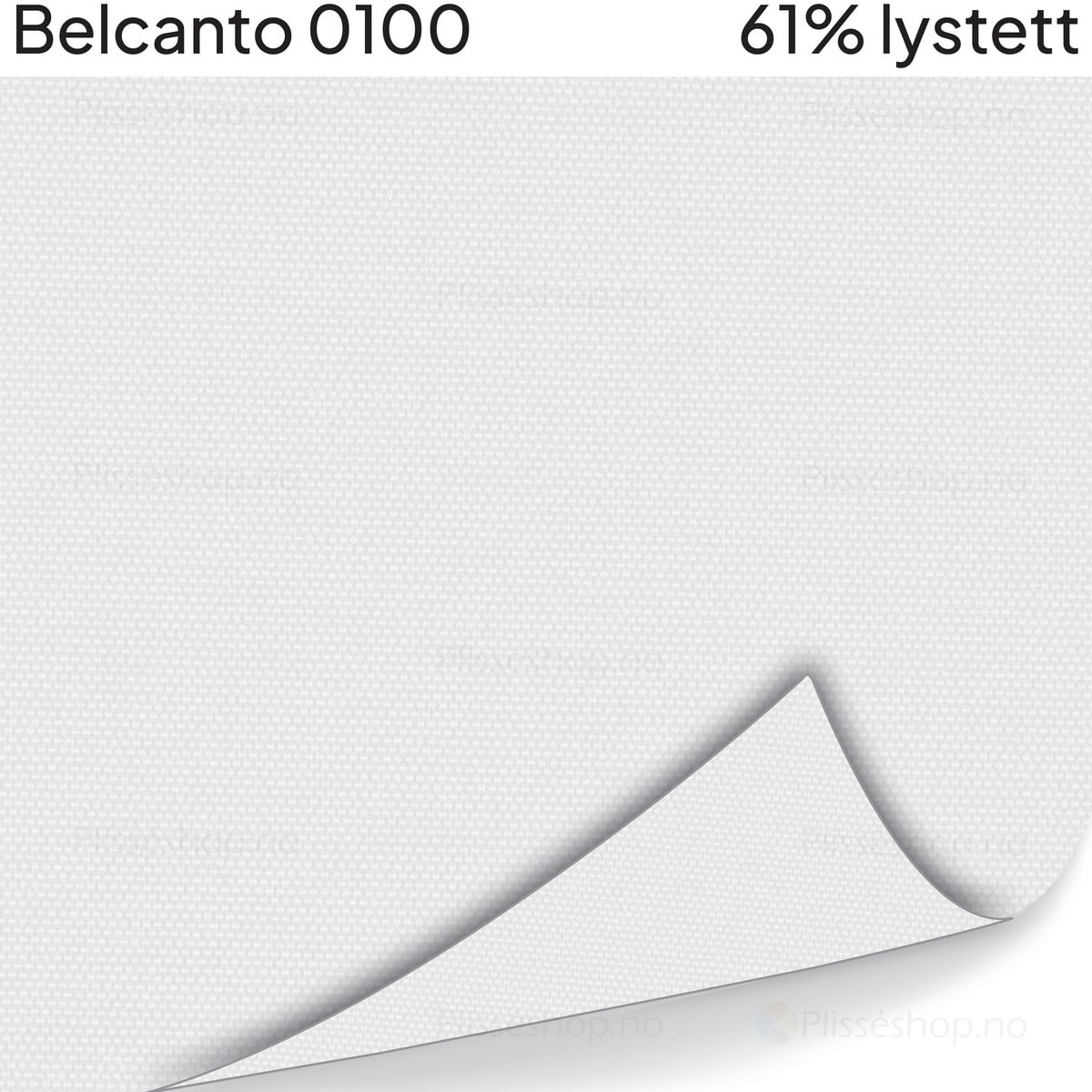 Belcanto 0100