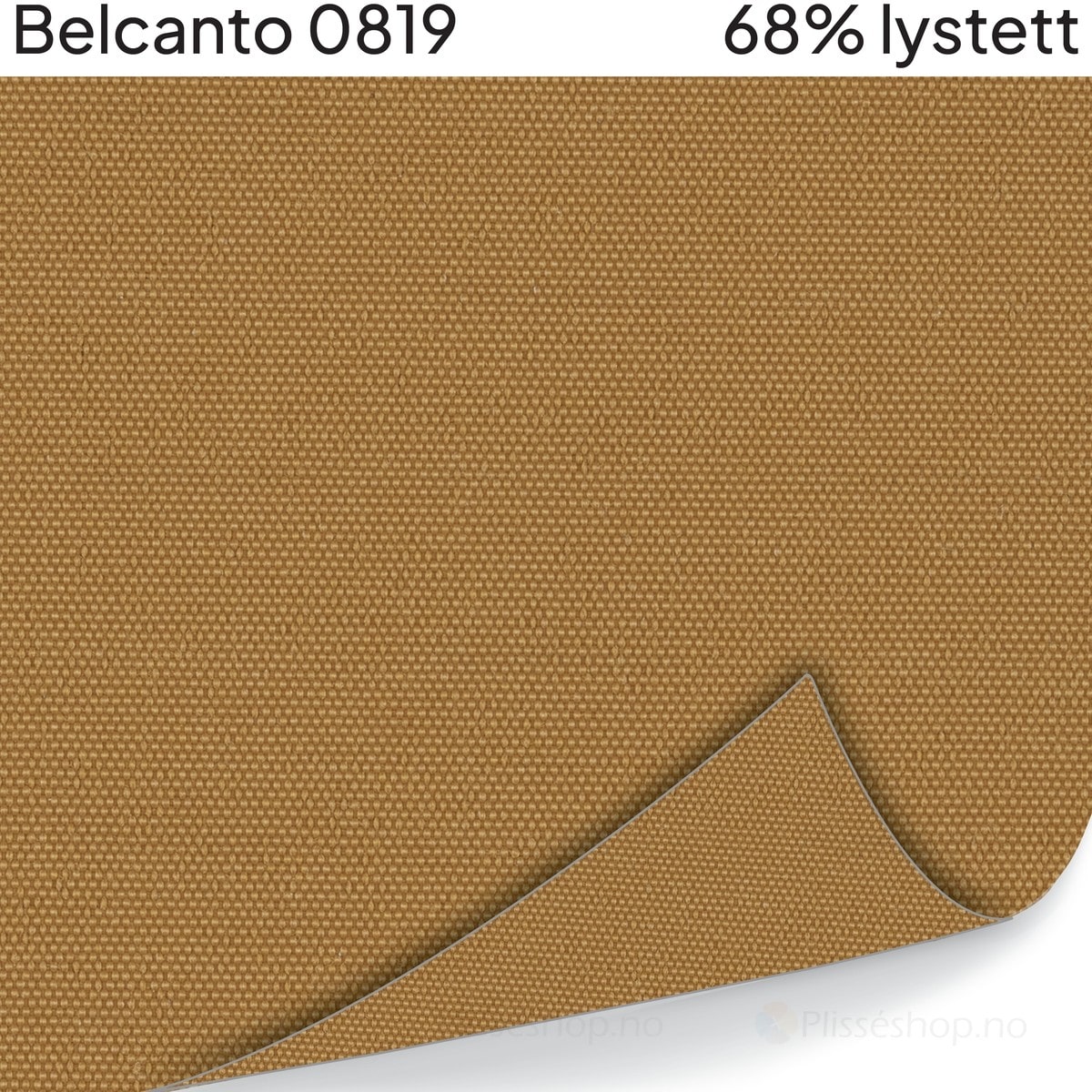 Belcanto 0819