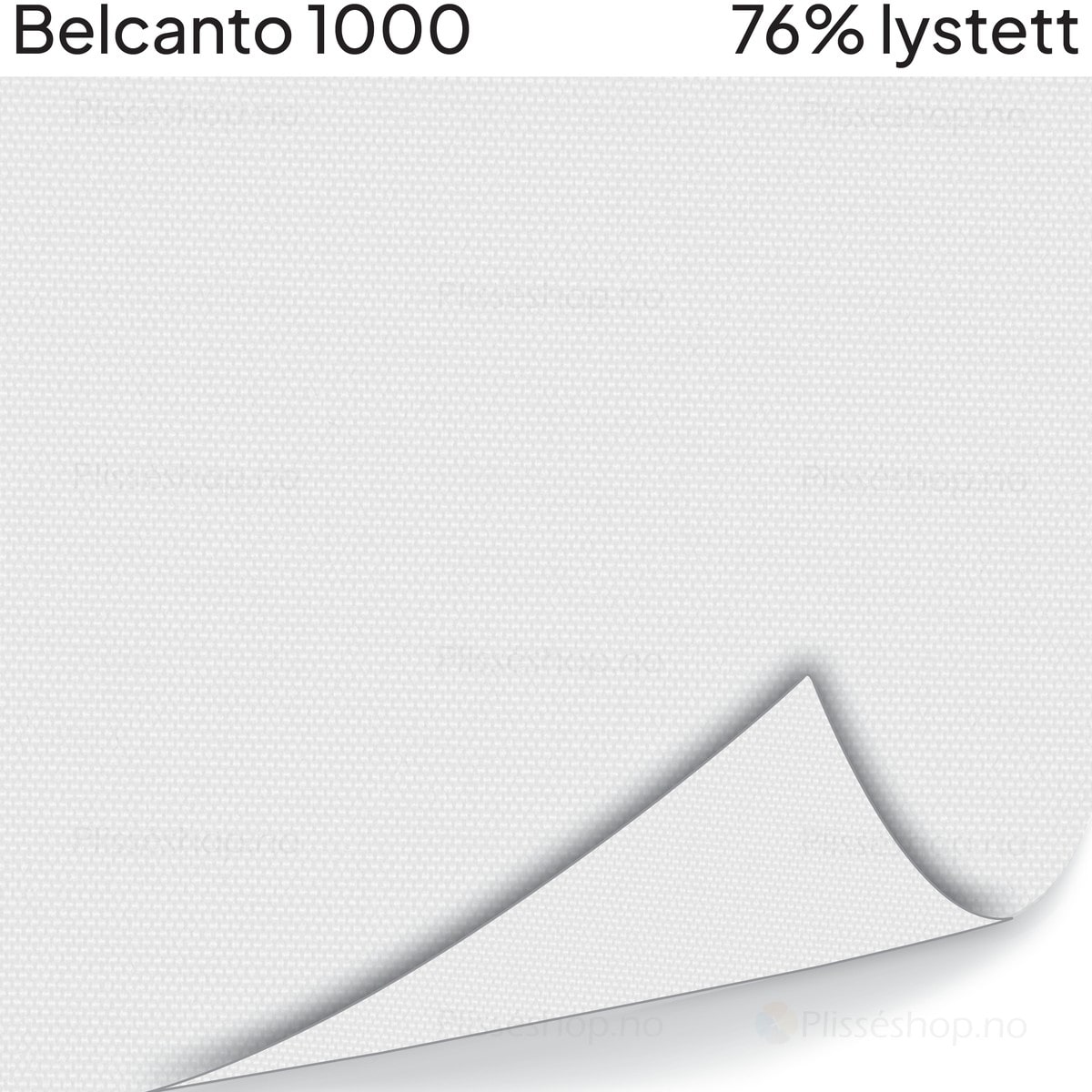 Belcanto 1000