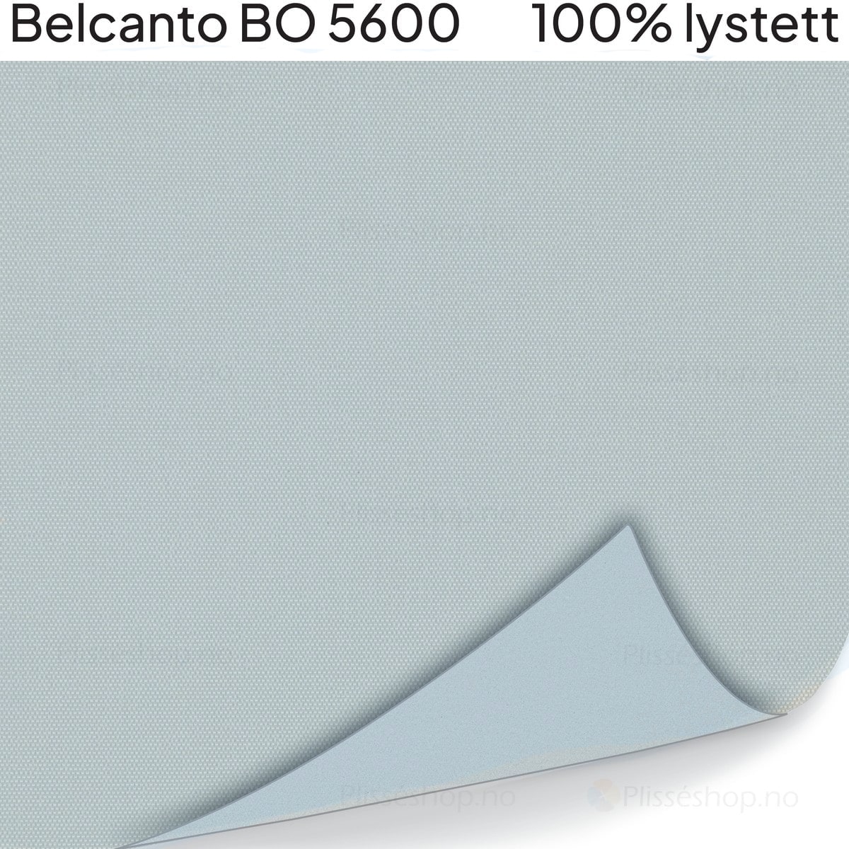 Belcanto BO 5600