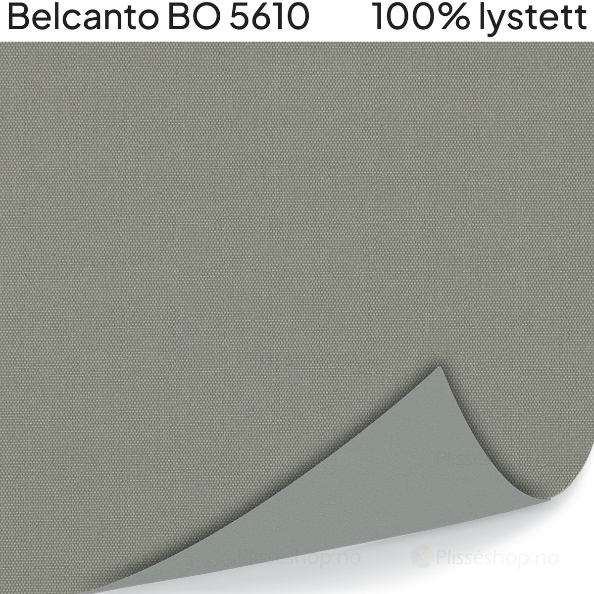 Belcanto BO 5610