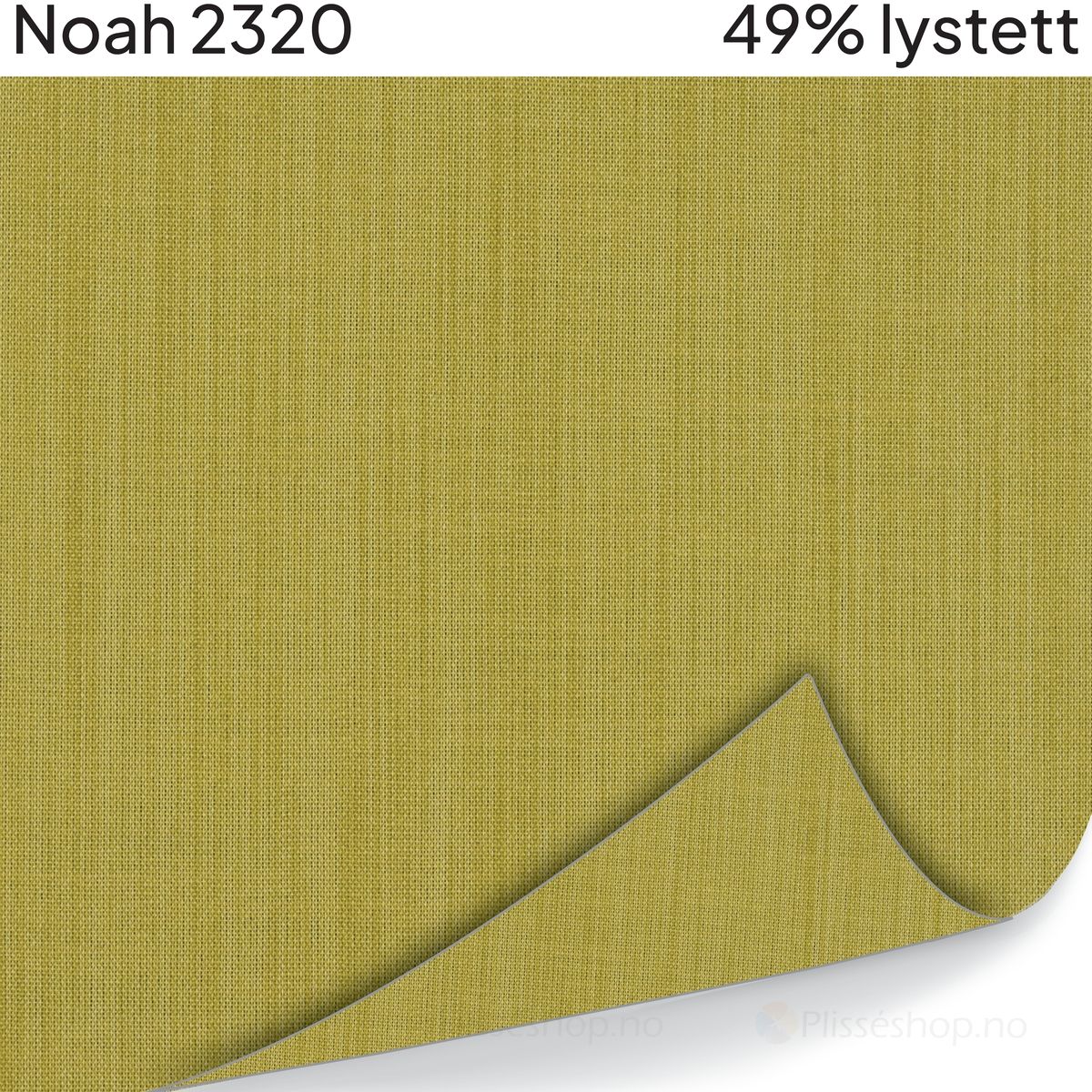 Noah 2320